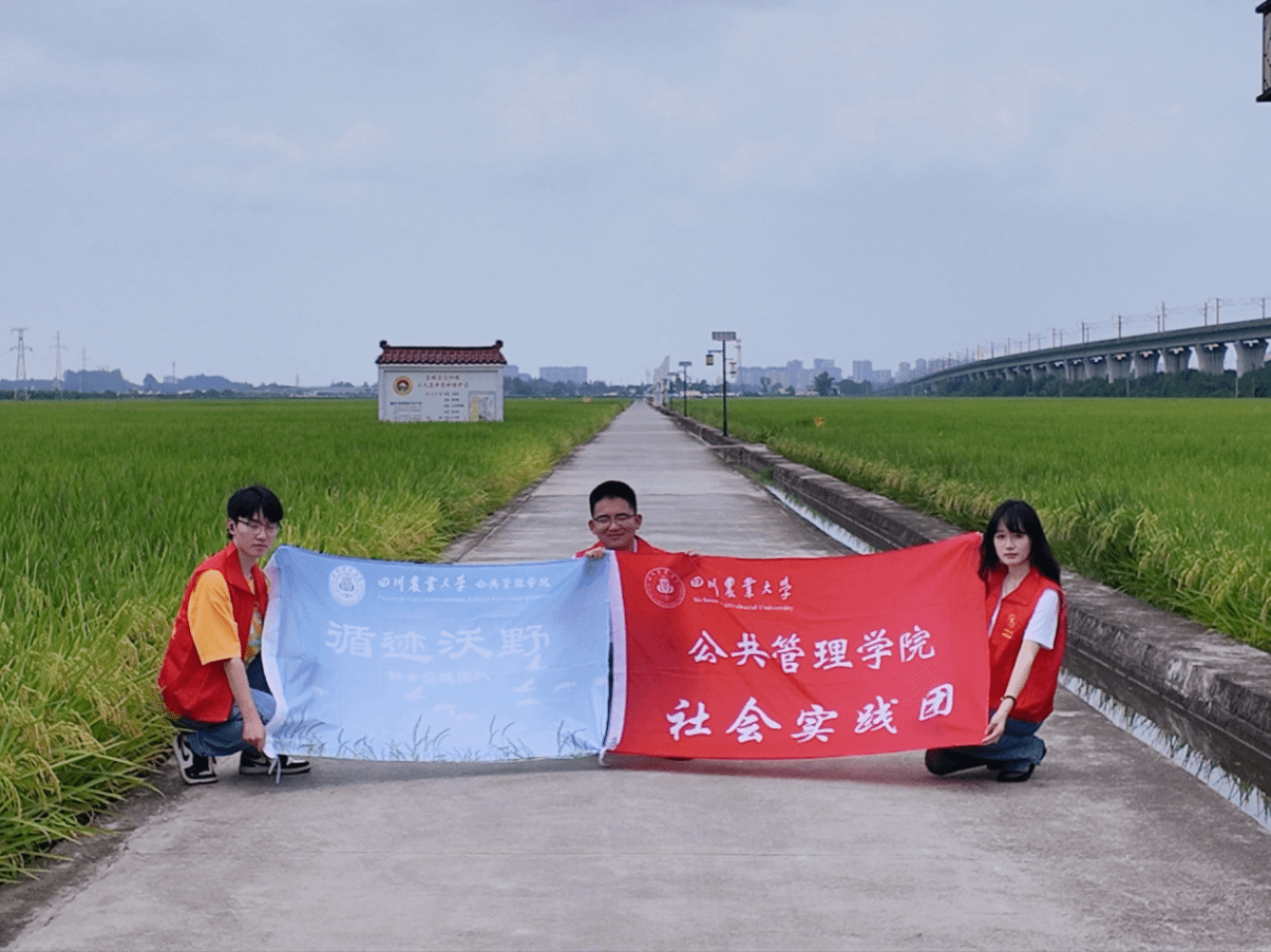 公共管理学院2026暑期社会实践如火如荼